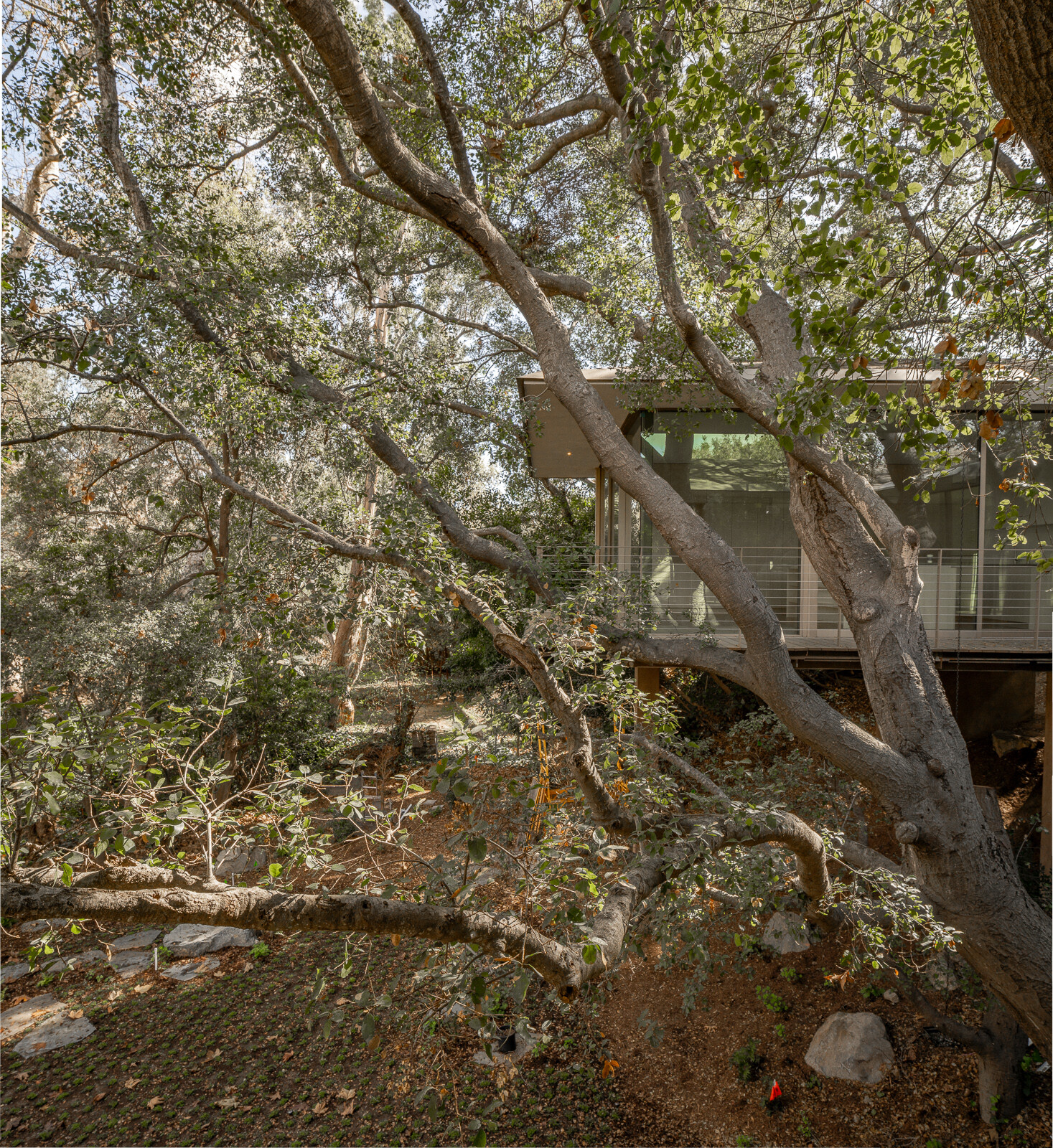LA Brooktree House Image 8